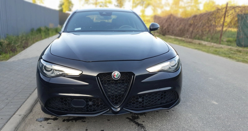 Alfa Romeo Giulia cena 48900 przebieg: 83527, rok produkcji 2018 z Zawichost małe 277